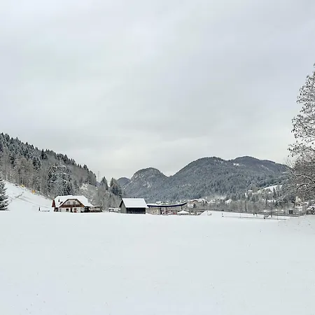 Da Frida * Tarvisio